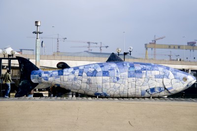 belfast_17.jpg