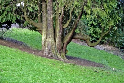 belfast_22.jpg