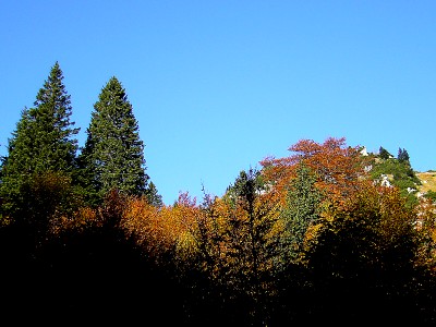 02.jpg