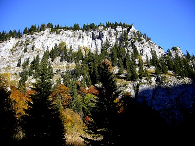 05.jpg