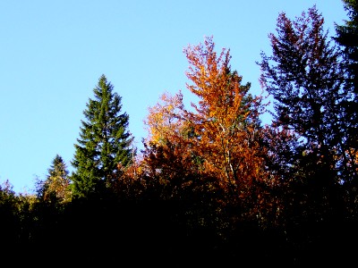 06.jpg