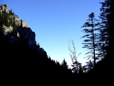 07.jpg