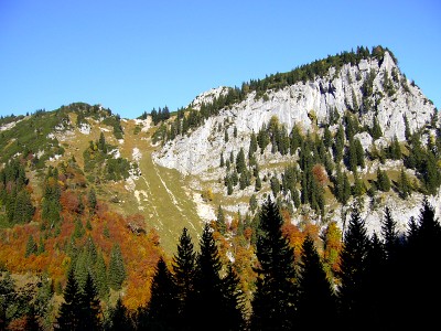 08.jpg
