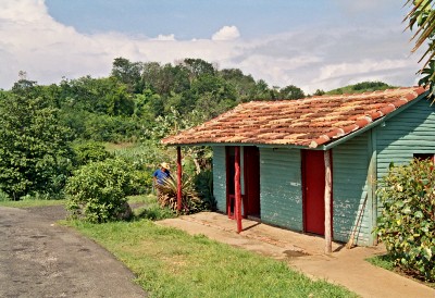 61.jpg