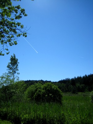 img_0510.jpg