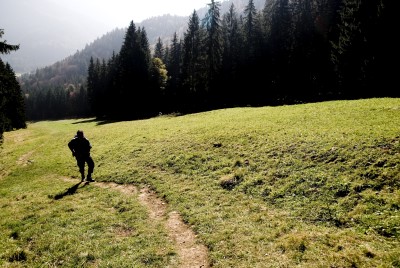 hirschberg_01.jpg