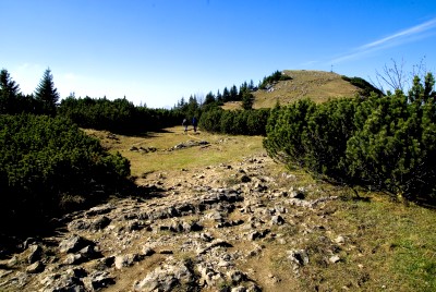 hirschberg_19.jpg