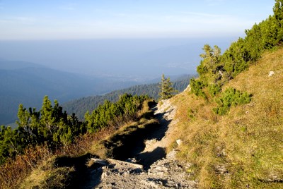 hirschberg_37.jpg