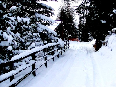 faschingalm_weg_2.jpg