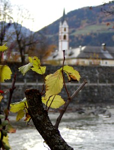 lienz_klosterkirche.jpg