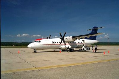 flores_avion.jpg