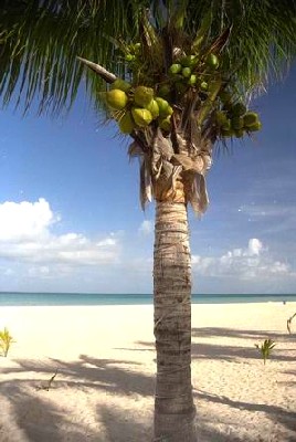mujeres_playa_2.jpg