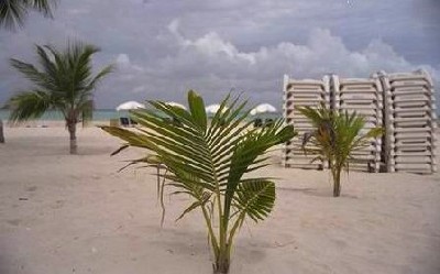 mujeres_playa_3.jpg