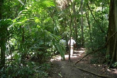 tikal_camino.jpg