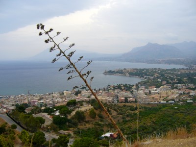 mongerbino_07.jpg