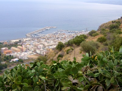 mongerbino_10.jpg
