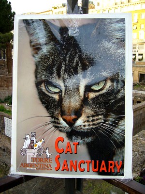 44_argentina_sanctuary.jpg