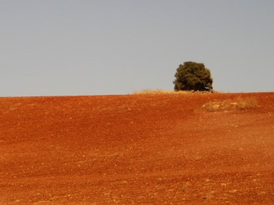 ronda_21.jpg