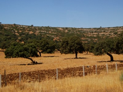 ronda_22.jpg