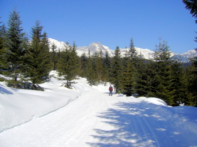 02.jpg