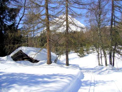 05.jpg
