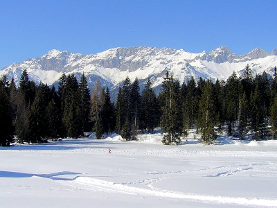 08.jpg