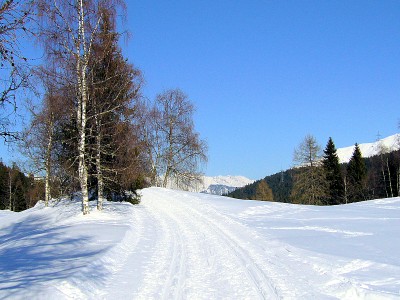 09.jpg