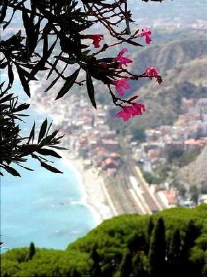 tao_giardini.jpg