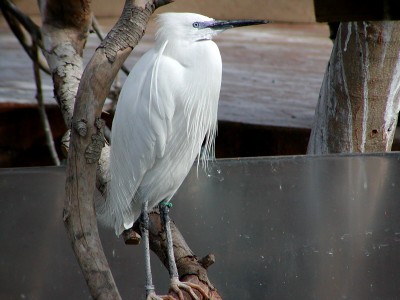 oceano_08.jpg