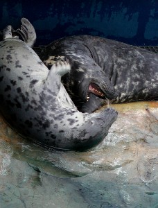 oceano_11.jpg