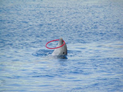 oceano_14.jpg
