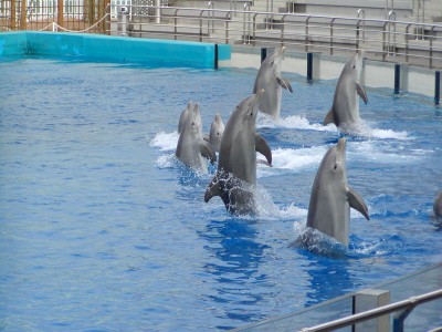 oceano_16.jpg